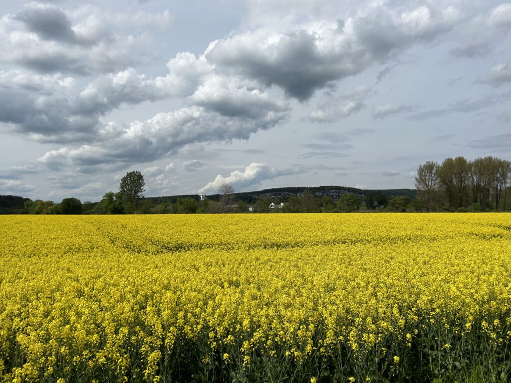 Wandern für die Seele